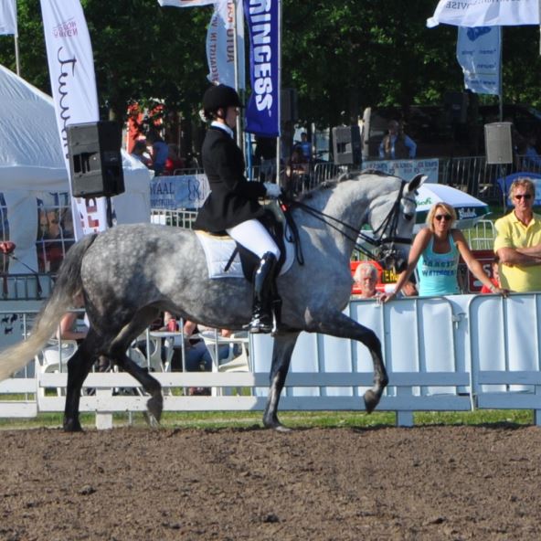 Babette Blankenspoor op een paard tijdens de dressuur