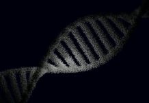 Dementie en DNA-onderzoek: wanneer en hoe bespreek je het?