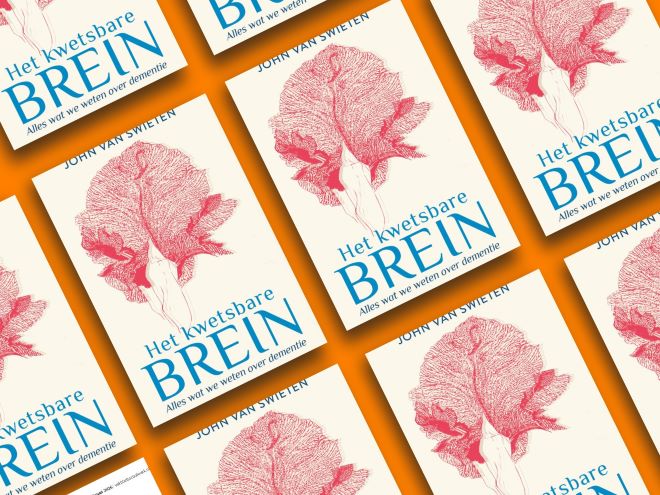 Het kwetsbare brein Cover het kwetsbare brein